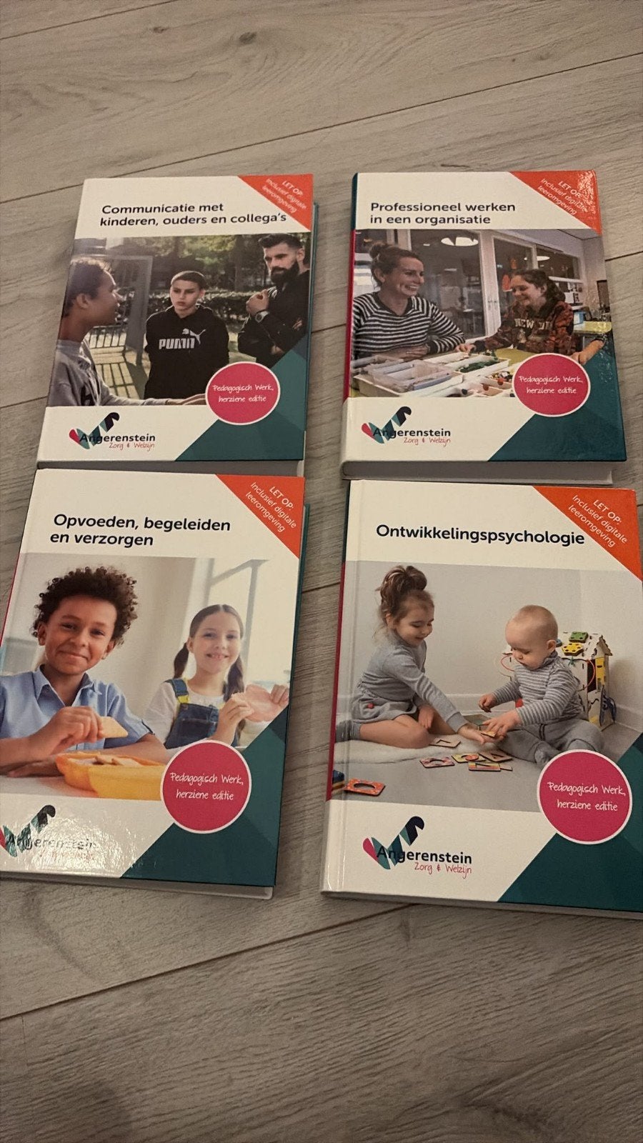 Pedagogisch Werk boeken (4 stuks) - Angerenstein, Boeken, Ophalen of Verzenden, Zo goed als nieuw, MBO, Gamma