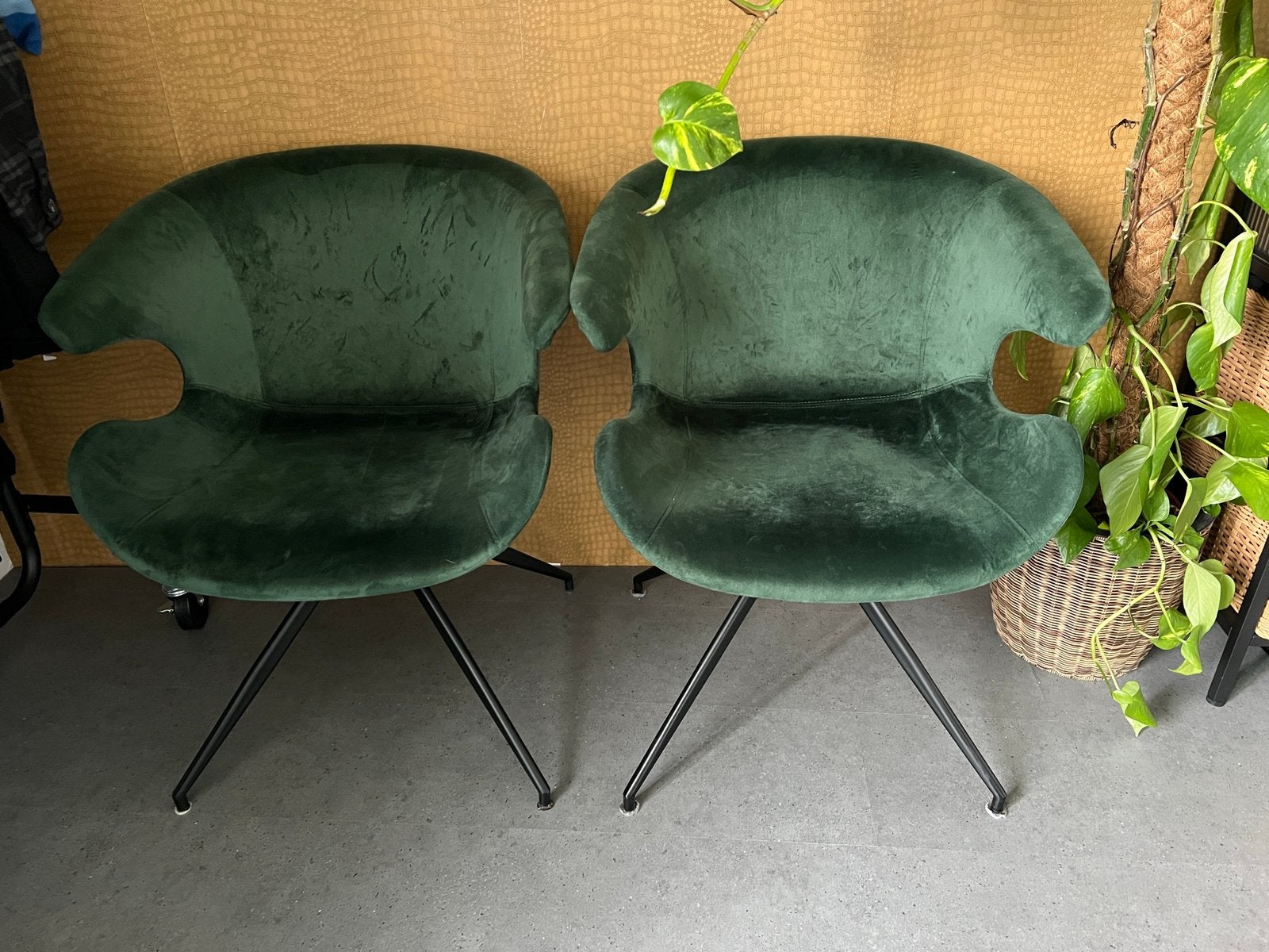 Zuiver Velvet stoelen, Huis en Inrichting, Ophalen, Zo goed als nieuw, 50 tot 75 cm