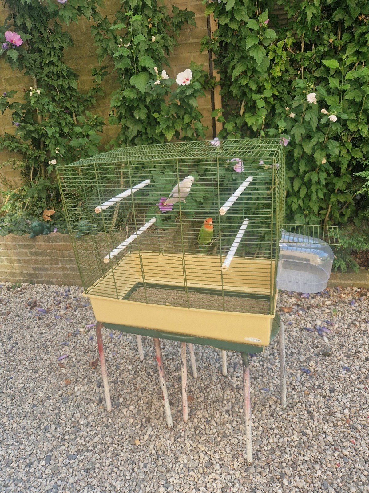 vogelkooi kooi volière vogel, Ophalen of Verzenden, Zo goed als nieuw, Metaal, Vogelkooi