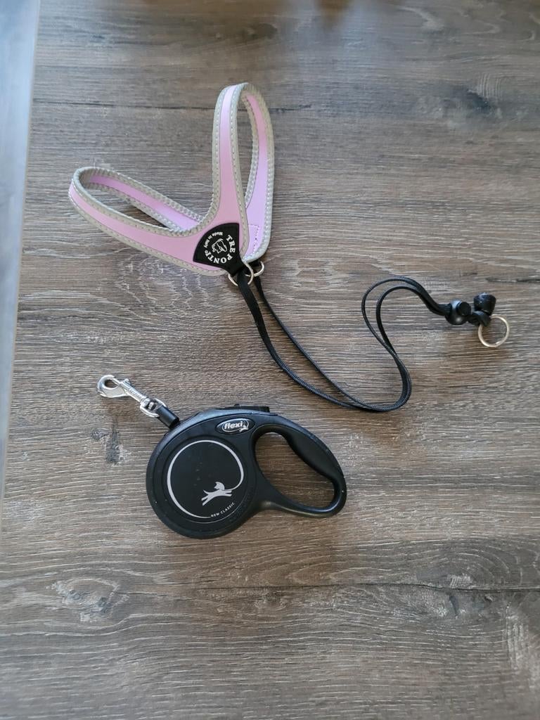 Hondenriem, Ophalen of Verzenden, Zo goed als nieuw, Hondenriem
