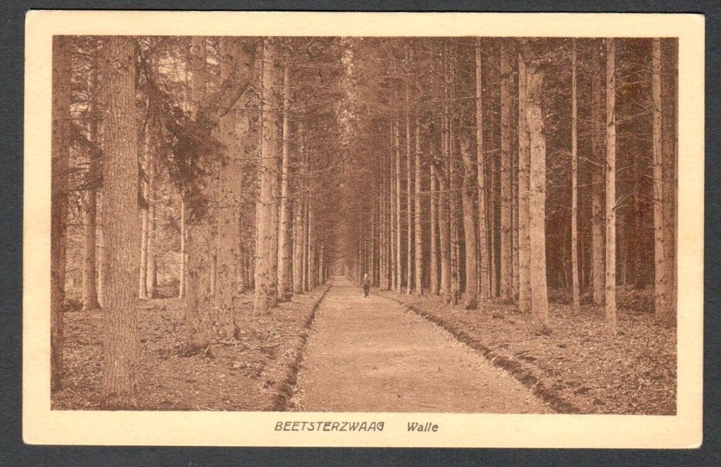 Oude Ansicht - Beetsterzwaag - Walle 1935 - Frl., Ophalen of Verzenden, 1920 tot 1940, Ongelopen, Friesland
