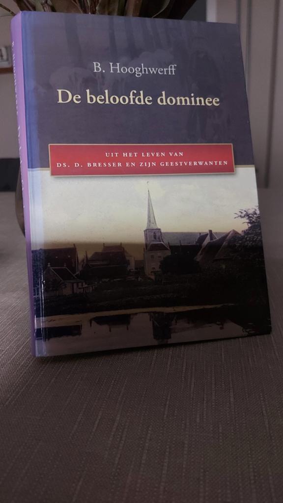 De beloofde dominee - B. Hooghwerff, Ophalen of Verzenden, Gelezen, B. Hooghwerff, Christendom | Protestants