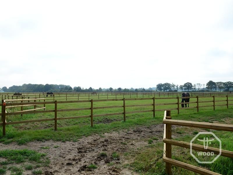 Paddock 20 x 60 m | Weide & afrastering, Dieren en Toebehoren, Stalling en Weidegang, Weidegang, 4 paarden of pony's of meer
