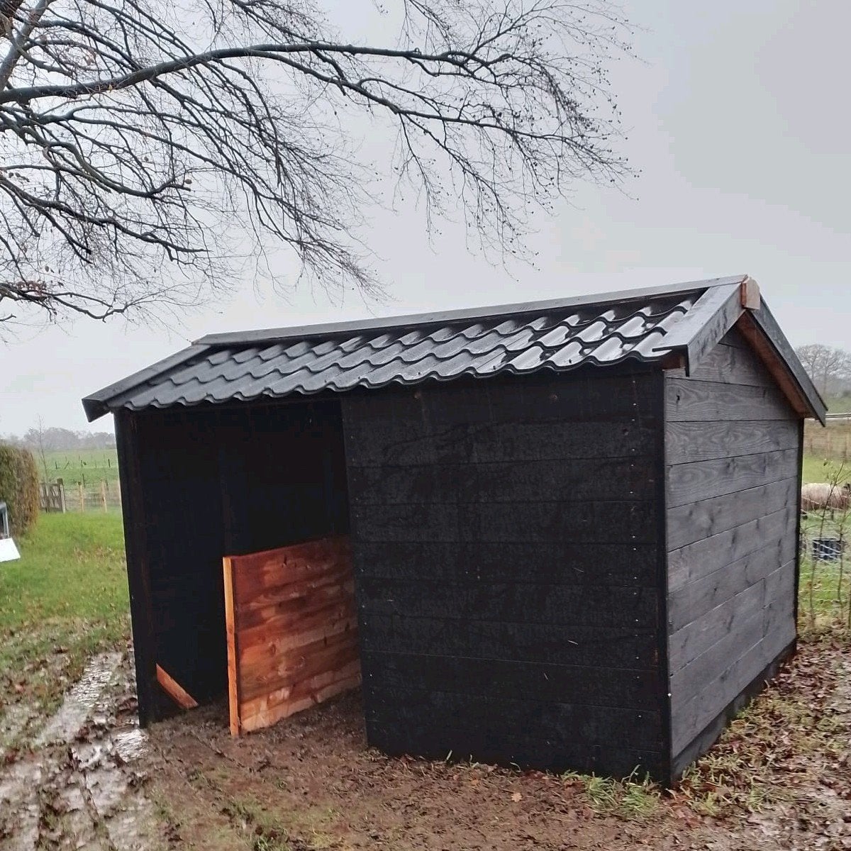 Schuilstal douglas zwart. Diversen maten, Stalling, 2 of 3 paarden of pony's