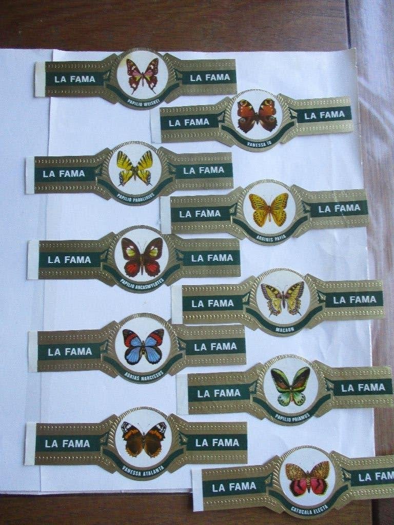 Sigarenbandjes, Verzamelen, Verzenden, Nieuw, Sigarenbandjes