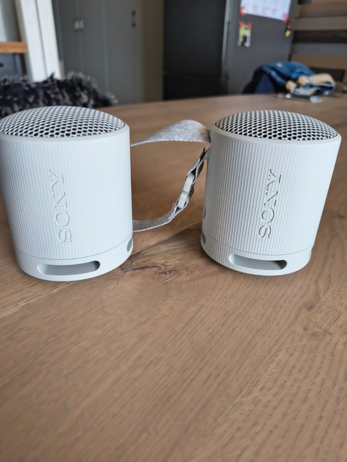 Sony srs xb-100 grijs 2 stuks, Audio, Tv en Foto, Luidsprekers, Stereo speakers, Ophalen of Verzenden, Zo goed als nieuw, Sony