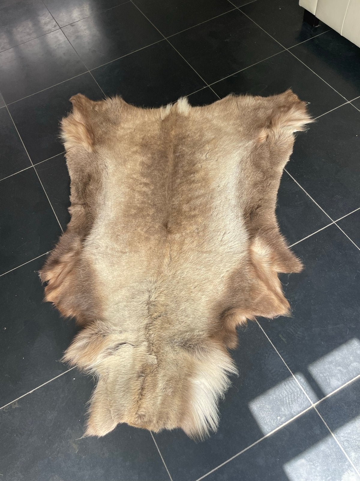 Prachtig rendiervel - Natuurlijke decoratie, Ophalen, Gebruikt, 100 tot 150 cm, Bruin