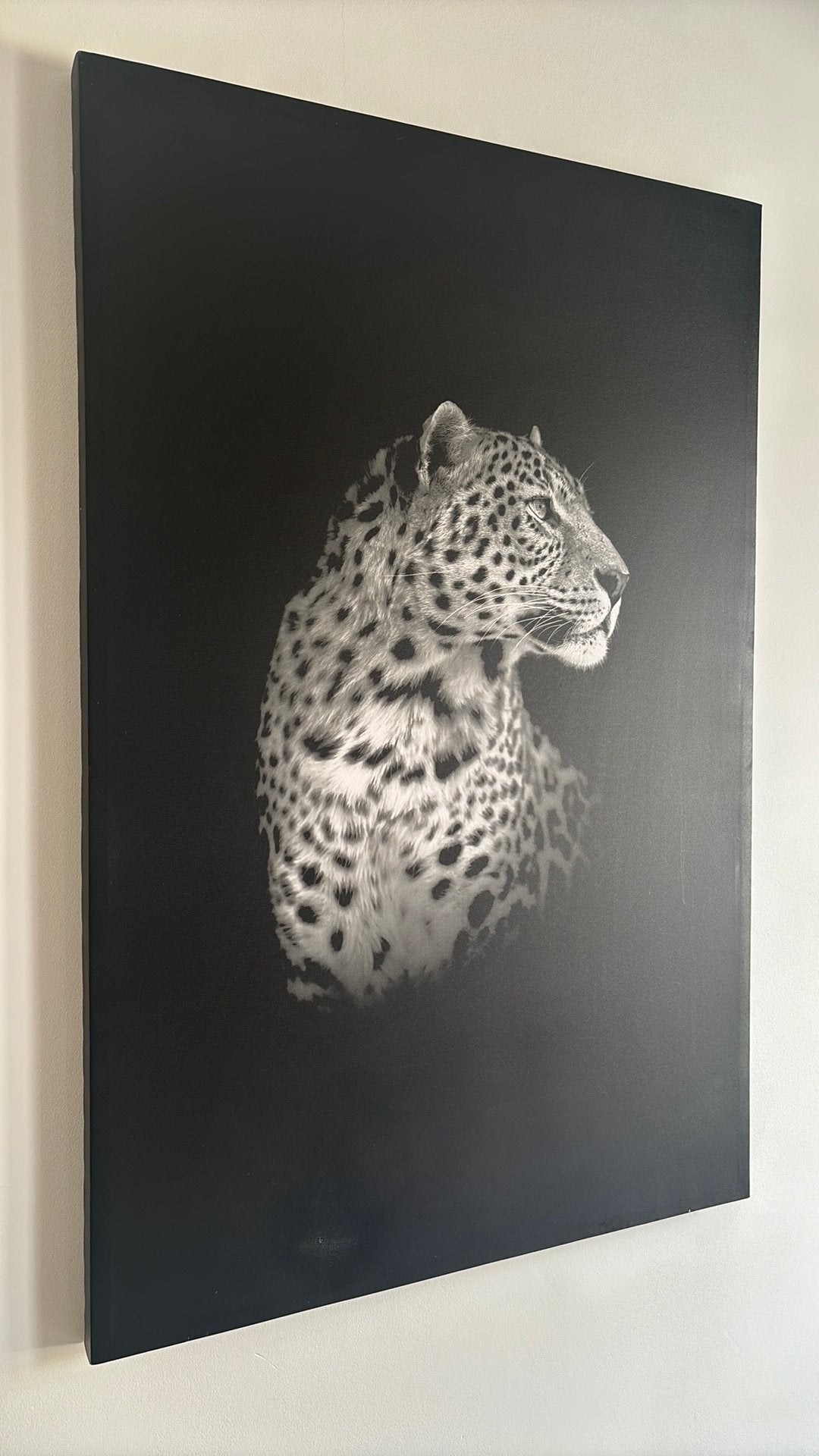 Mooie grote schilderij, Ophalen, Zo goed als nieuw, Schilderij