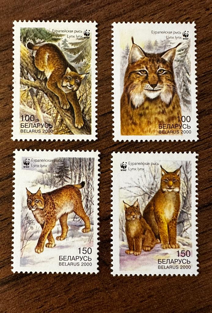 Wit-Rusland 2000 WWF Lynx postfris dieren, Postzegels en Munten, Ophalen of Verzenden, Overige landen, Postfris