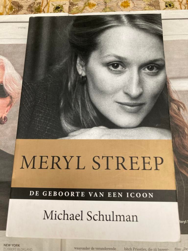 Meryl Streep: De Geboorte van een Icoon - Michael Schulman, Boeken, Ophalen of Verzenden, Gelezen, Film, Tv en Media