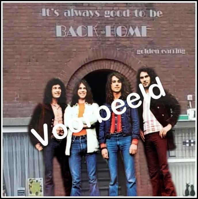 Golden Earring: Back Home*, Ophalen of Verzenden, Gebruikt, 12 inch