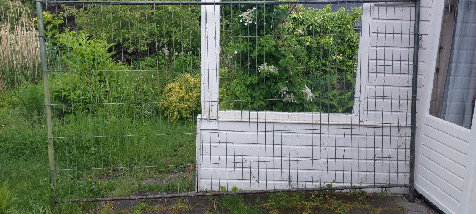Gebruikt gaashekwerk voor tuin of erf, Tuin en Terras, Ophalen, Gebruikt, IJzer, Gaashekwerk