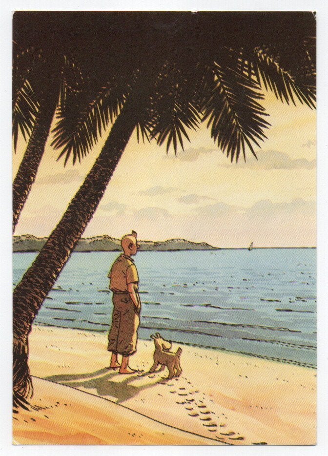 Kuifje en Rin Tin Tin, Verzamelen, Ophalen of Verzenden, 1980 tot heden, Gelopen, Overige thema's