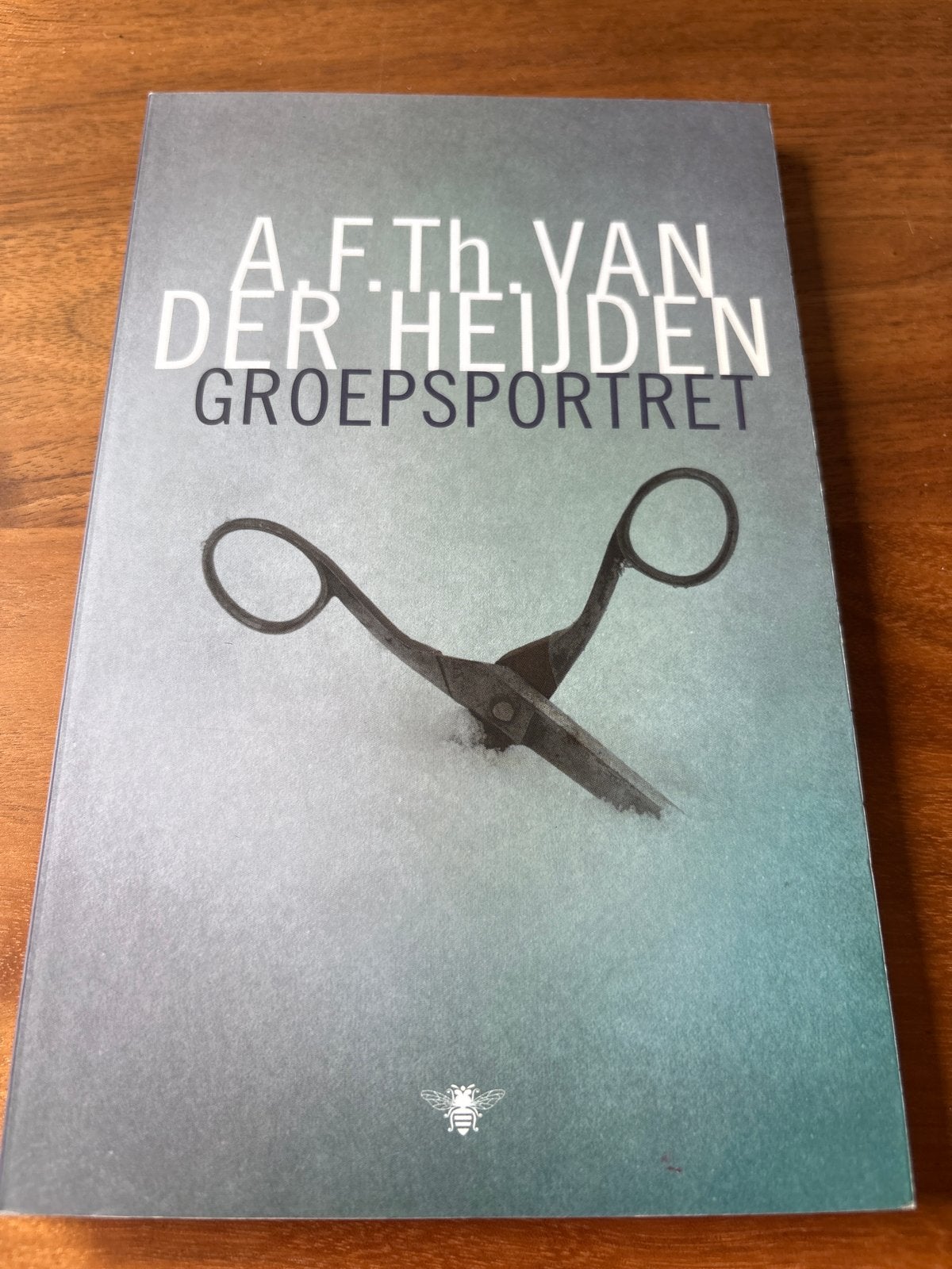 A.F.Th. van der Heijden - Groepsportret, Boeken, Ophalen of Verzenden, Zo goed als nieuw, Nederland