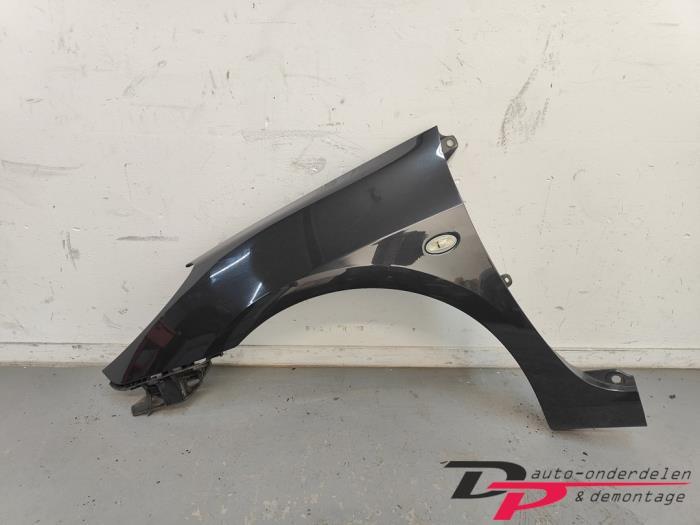 Scherm links-voor van een Peugeot 307 (EXLD), Gebruikt, -, -, Ophalen of Verzenden