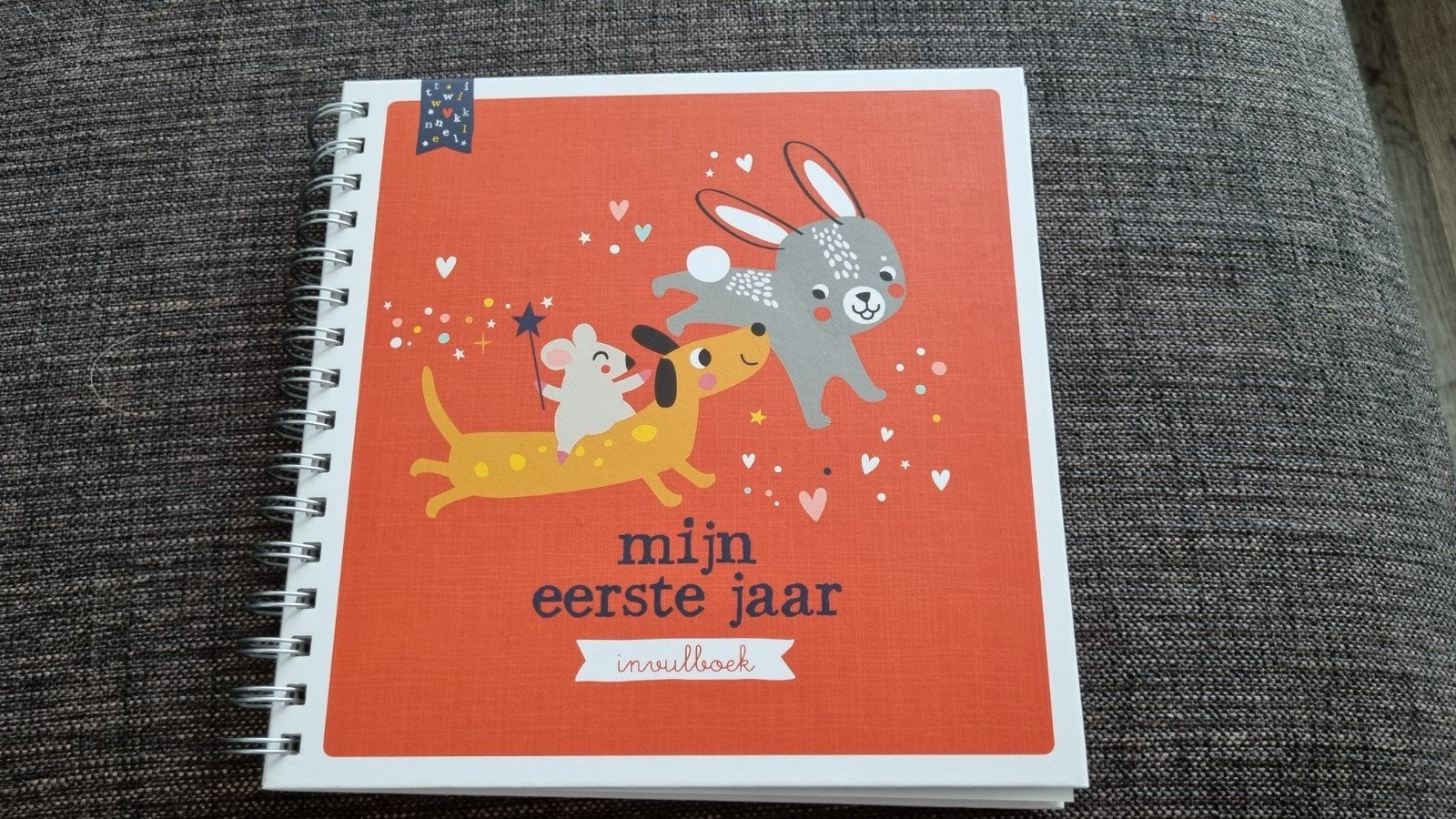 Baby's eerste jaar - geboorte invulboek nieuw, Ophalen of Verzenden, Nieuw, Tanja Tanja Louwers (Tanja met een Rietje)