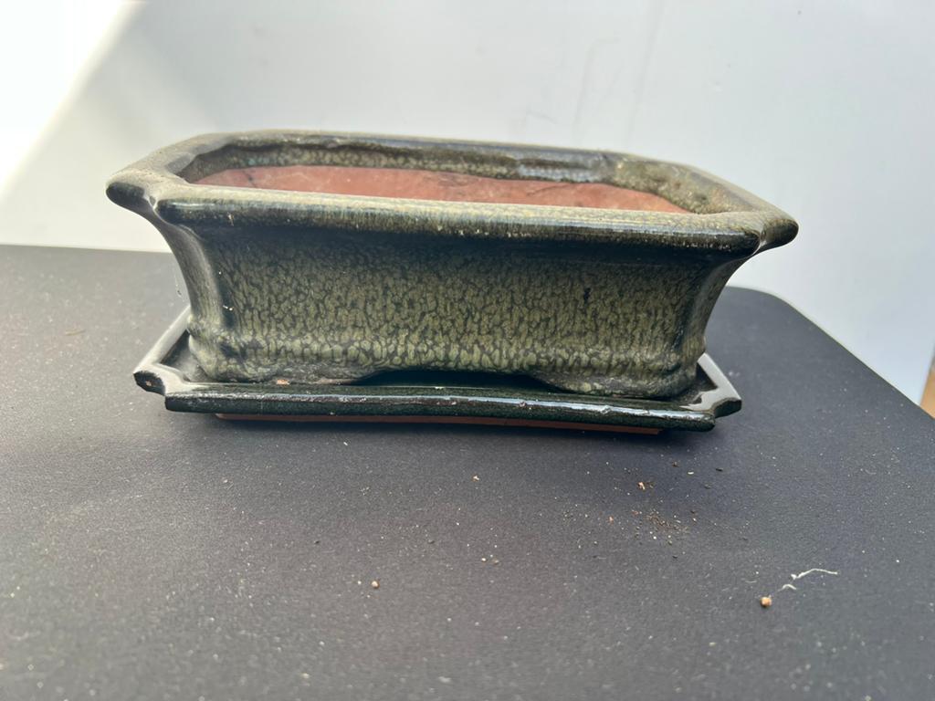 Te Koop Groene Bonsai Pot Met Schaal, Vierkant, Ophalen of Verzenden, Zo goed als nieuw, Balkon