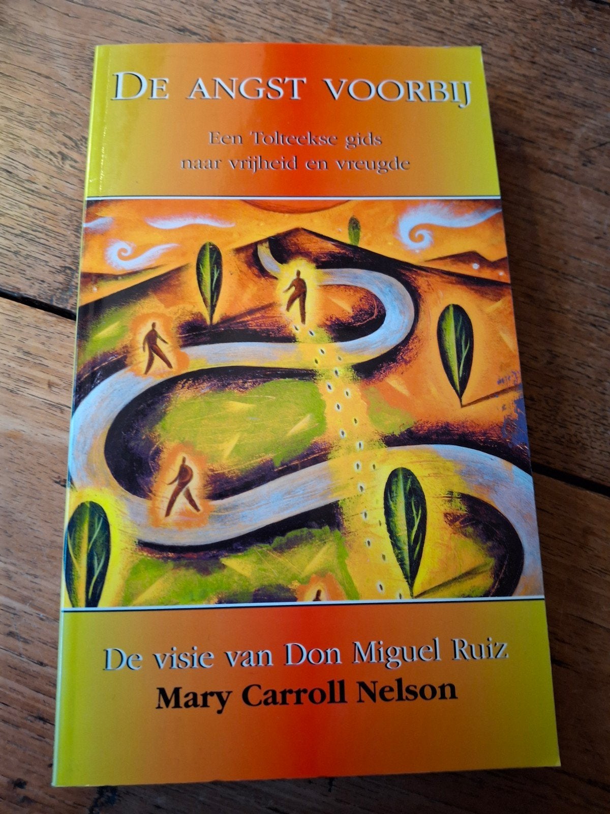 M. Carroll Nelson - De angst voorbij, Achtergrond en Informatie, Spiritualiteit algemeen, Ophalen of Verzenden, Zo goed als nieuw