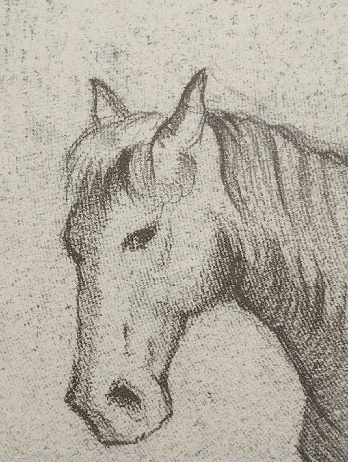 Prent paard, Ophalen of Verzenden, Voor 1940, Zo goed als nieuw