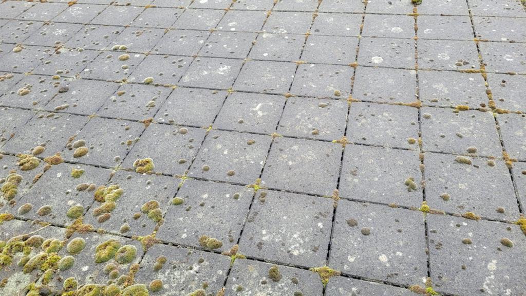 GRATIS! Dakterras tegels - Robuuste betontegels voor buiten, Ophalen, Zo goed als nieuw, 10 m² of meer, Beton