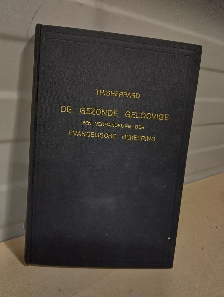 Nr. 1071 Th. Sheppard, de gezonde geloovige, Ophalen of Verzenden, Gelezen, Th. Sheppard, Christendom | Protestants
