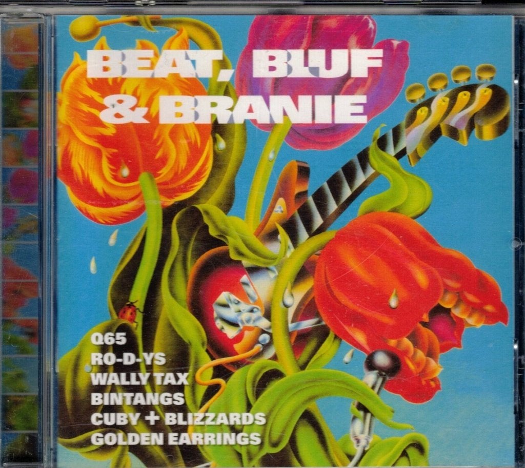 Beat Bluf & Branie ( Nederbeat ), Cd's en Dvd's, Overige genres, Ophalen of Verzenden, Zo goed als nieuw, Verzamelalbum