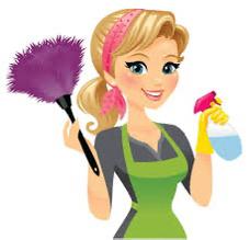 Huishoudelijke hulp aangeboden –zorgvuldig en betrouwbaar, Ophalen of Verzenden