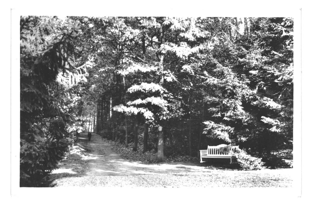 983786	Ossendrecht	NB 1959 gel  1960 Dennenheuvel 	Gelopen