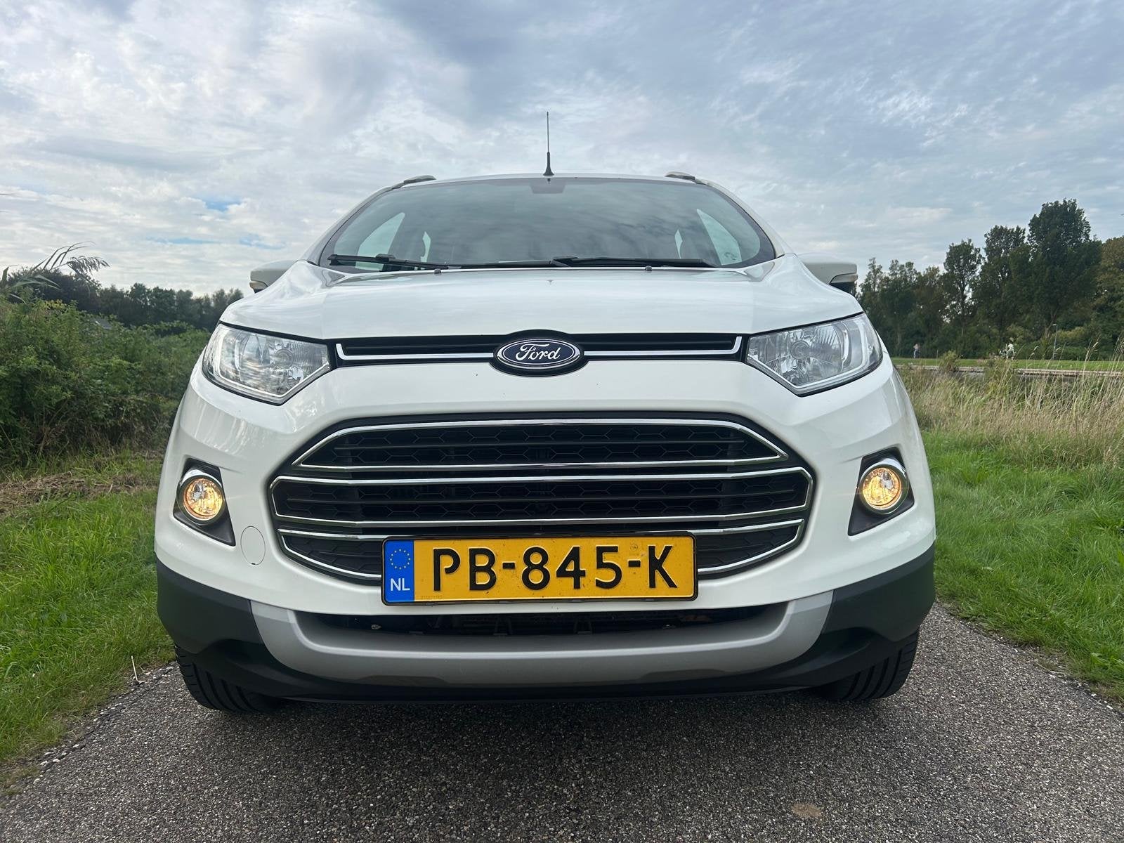 Ford EcoSport 1.0 EcoBoost Titanium | Parkeersensoren | Blue, Auto's, Voorwielaandrijving, Dealer onderhouden, Gebruikt, Ecosport