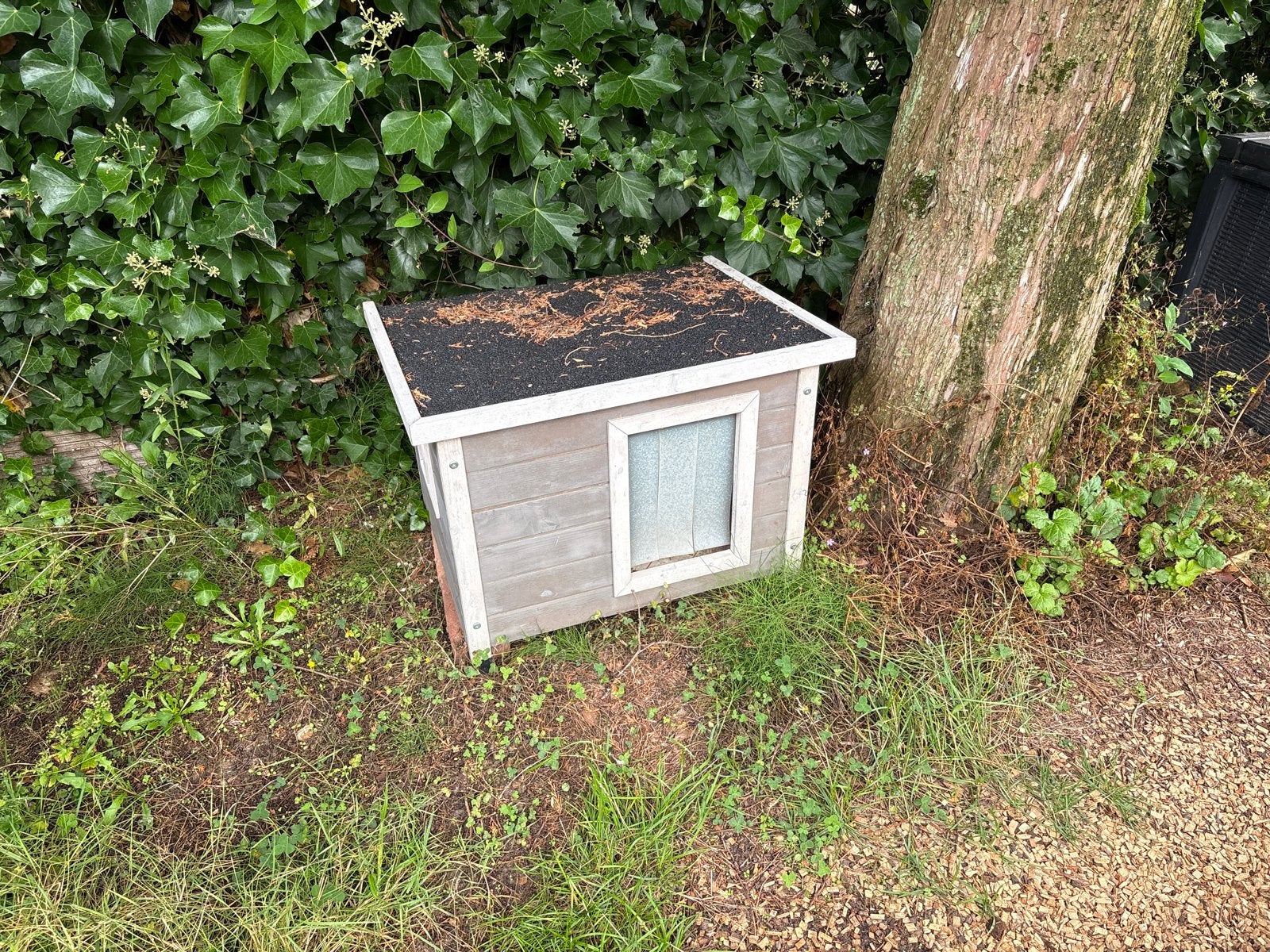 Katten huis voor buiten, klep kan open, Dieren en Toebehoren, Ophalen, Gebruikt