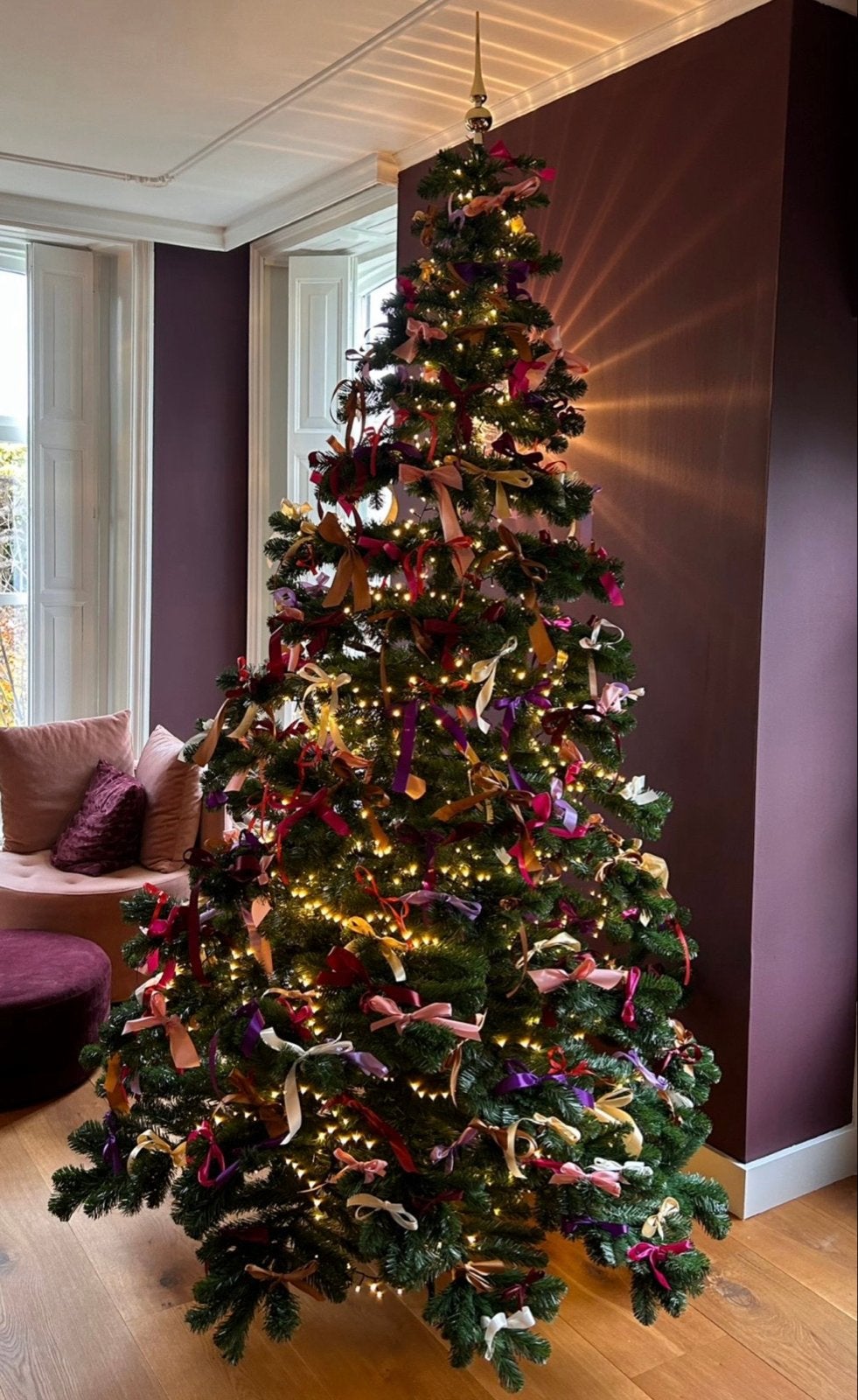 Triump Tree Tuscan (kerstboom), Ophalen, Gebruikt