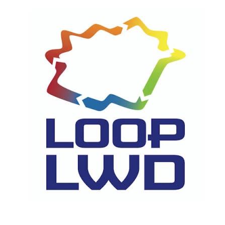 Loop leeuwarden halve marahton, Eén persoon