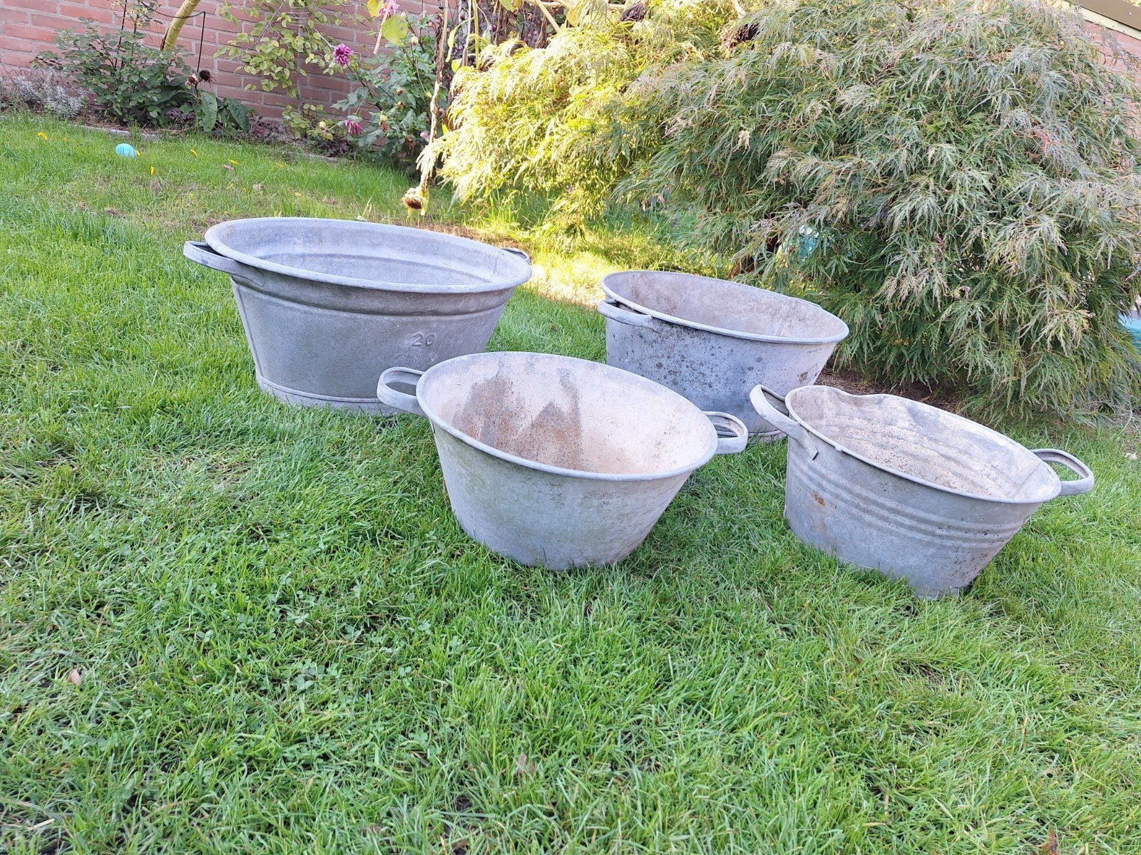 Zinken teilen voor tuin en decoratie, Ophalen, Gebruikt, Minder dan 30 cm, Minder dan 60 cm