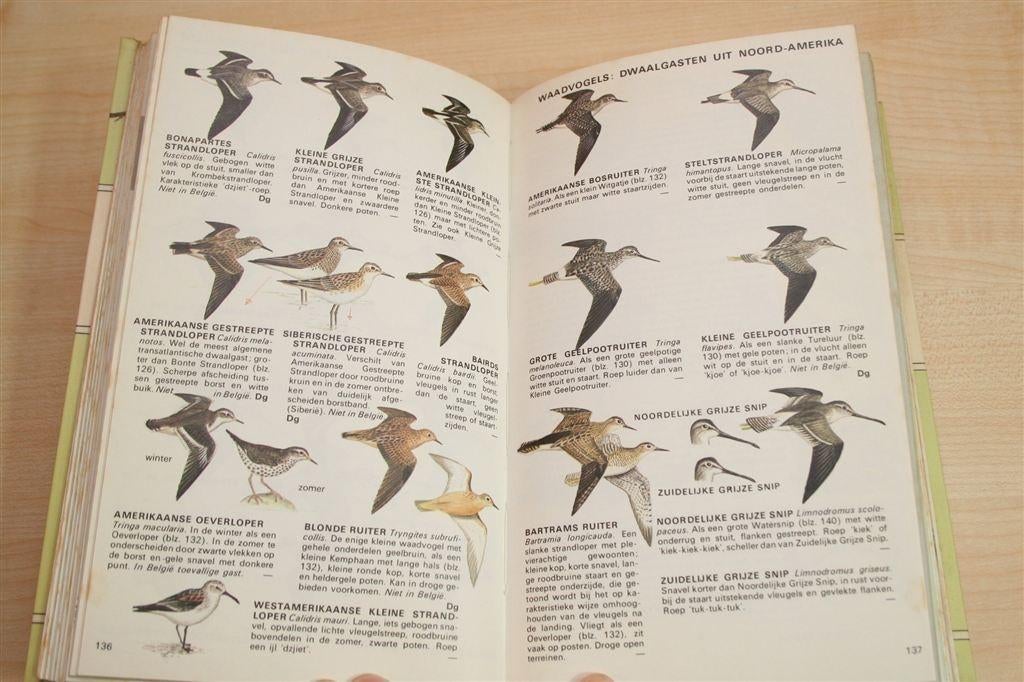 De Europese Vogels in Kleur — Ook N-Afrika & Midden-Oosten, Boeken, Ophalen of Verzenden, Gelezen, Vogels