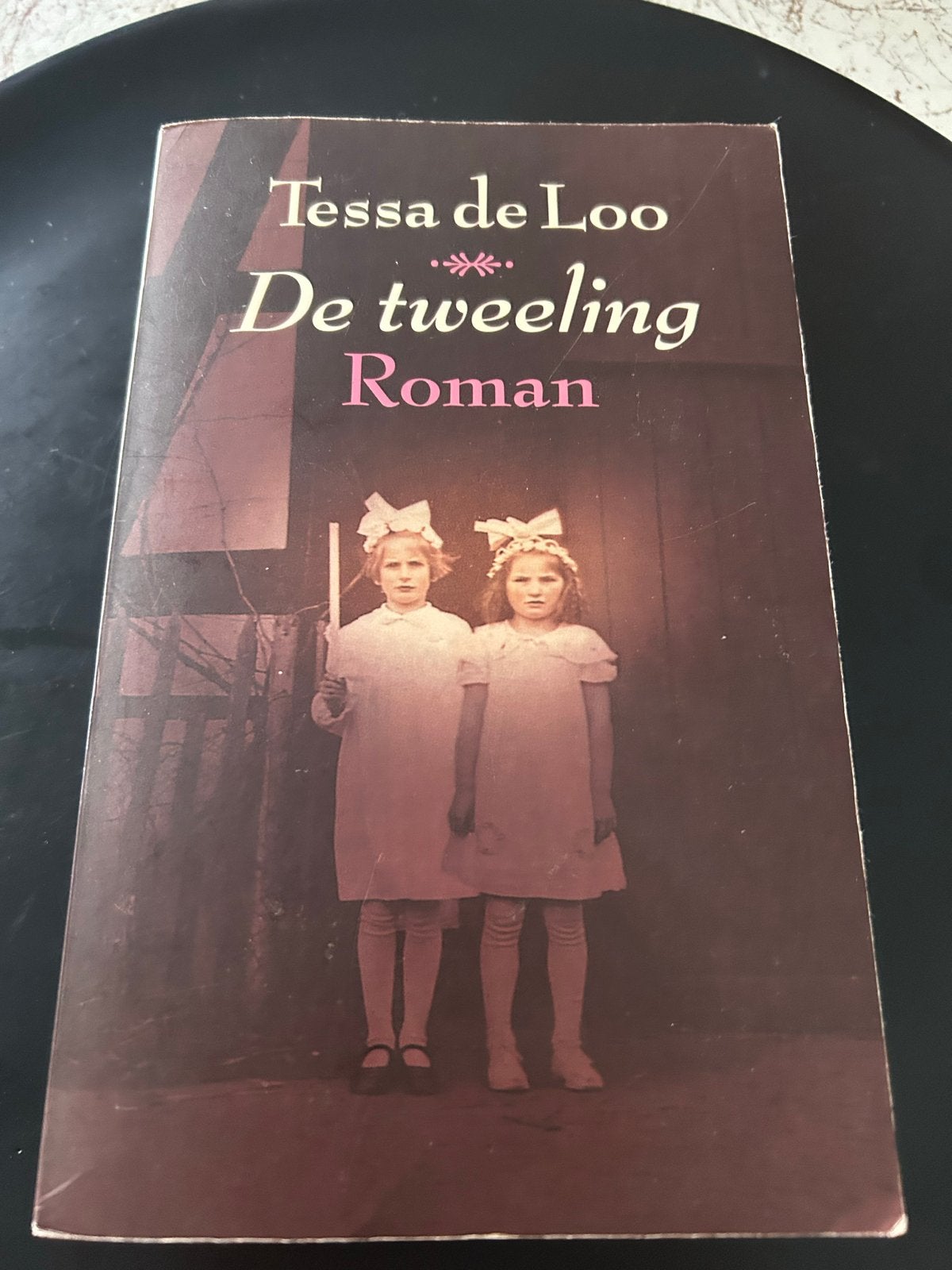 De Tweeling - Tessa de Loo (Roman), Ophalen of Verzenden, Gelezen, Nederland