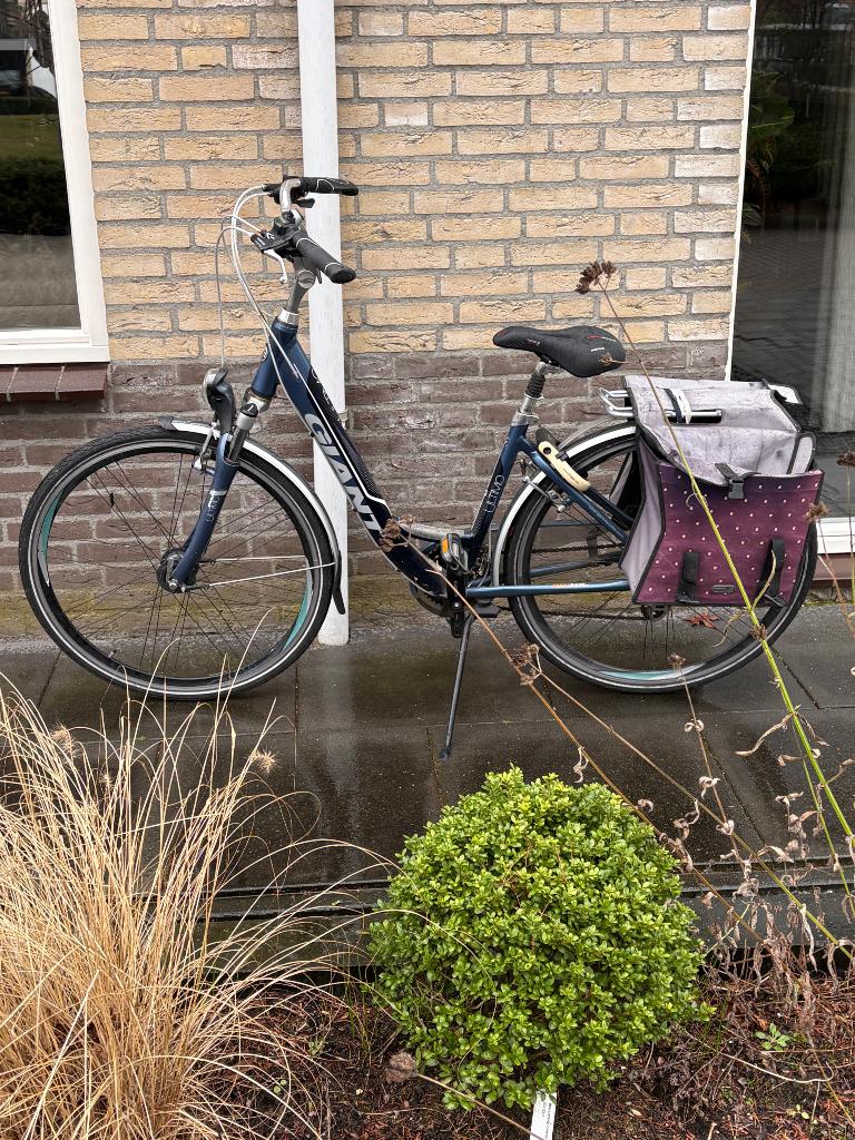 Te koop dames fiets Giant ultimo maat S, Ophalen, Gebruikt, Velgrem, 47 tot 50 cm