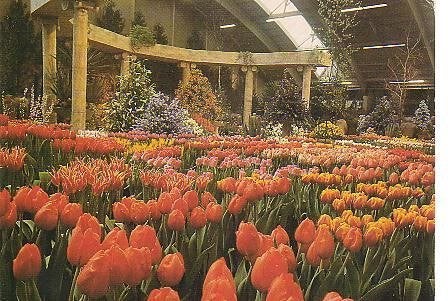 Ansichtkaart 	Bovenkarspel	Westfriese Flora, Verzenden, 1980 tot heden, Gelopen, Noord-Holland
