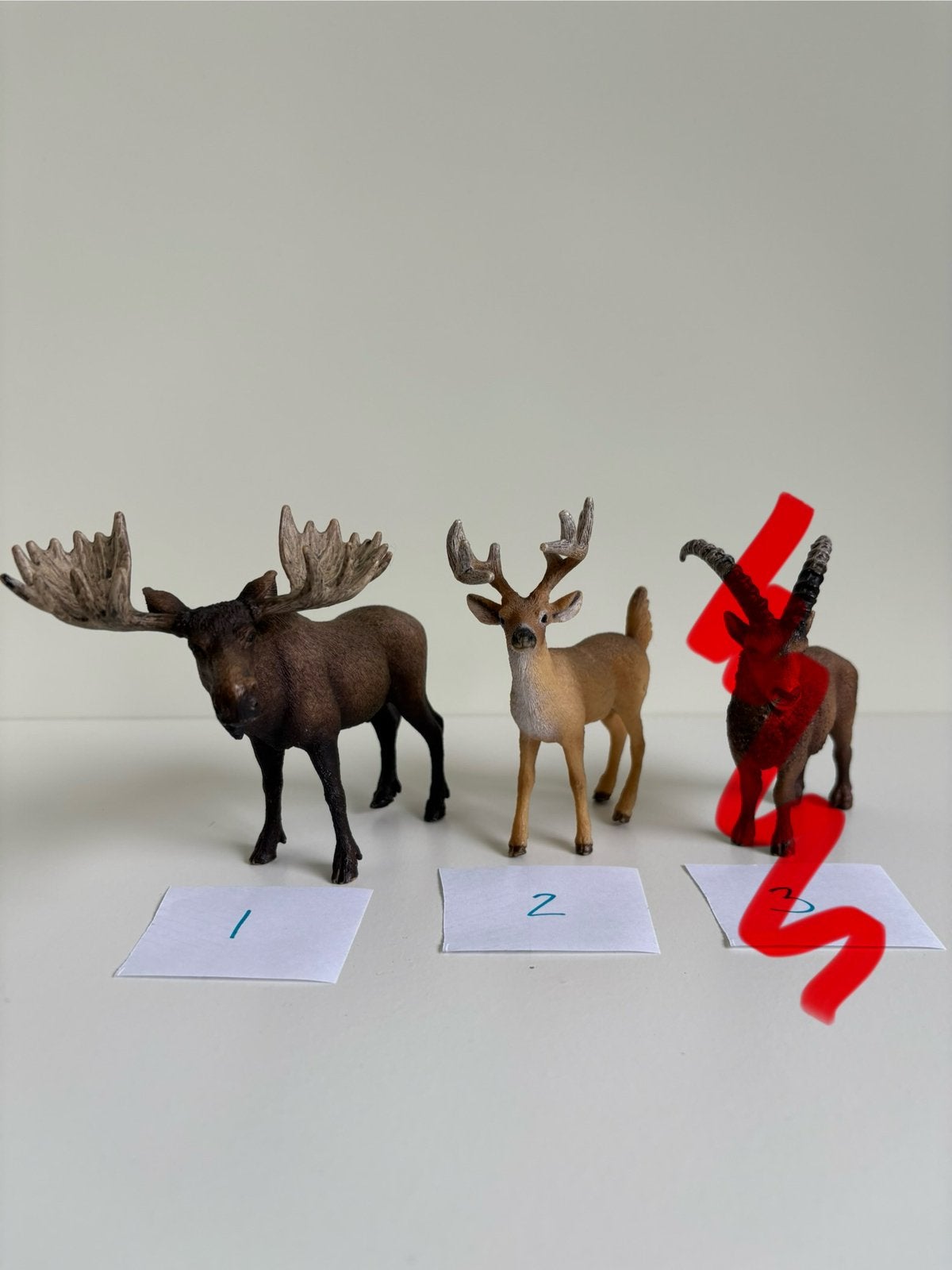 Schleich dieren - allerlei diersoorten, Ophalen of Verzenden, Zo goed als nieuw, Wild dier, Beeldje of Figuurtje