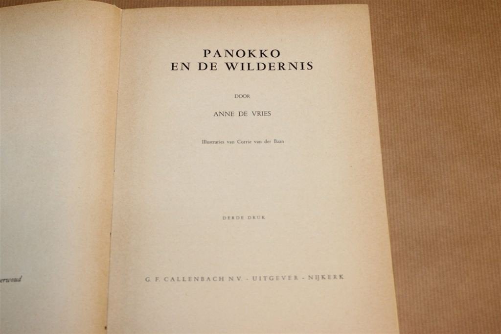 Panokko en de Wildernis — Suriname — Anne de Vries, Ophalen of Verzenden, Gelezen