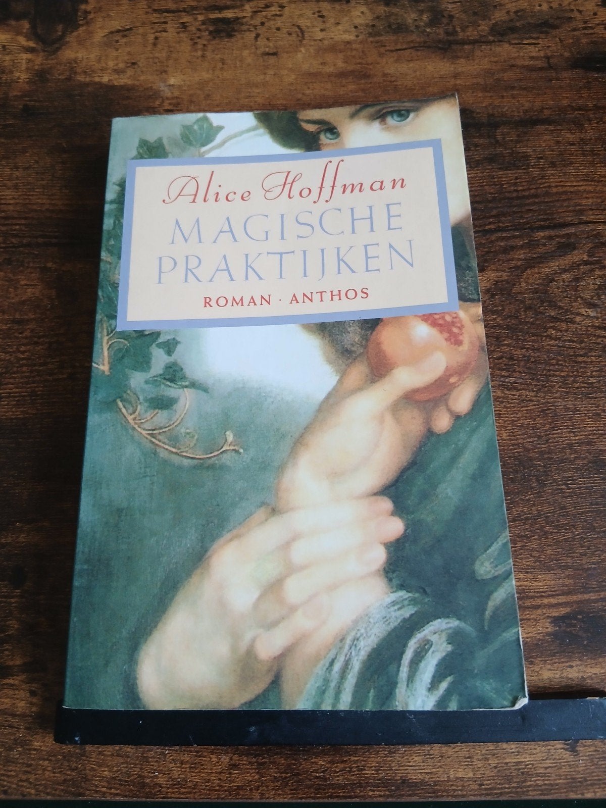 Magische Praktijken - Alice Hoffman (Roman), Gelezen, Europa overig, Ophalen of Verzenden, Alice Hoffman