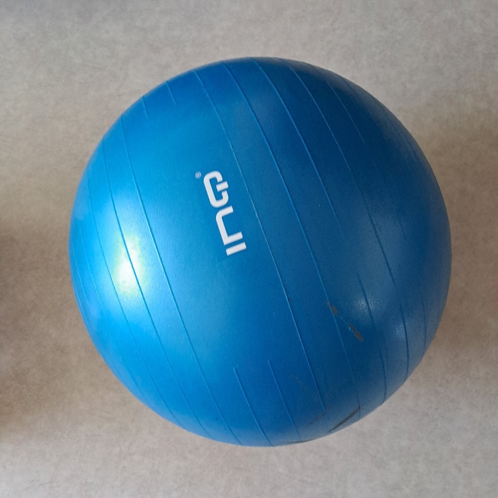 fitnessbal, Sport en Fitness, Fitnessmaterialen, Ophalen, Gebruikt, Fitnessbal