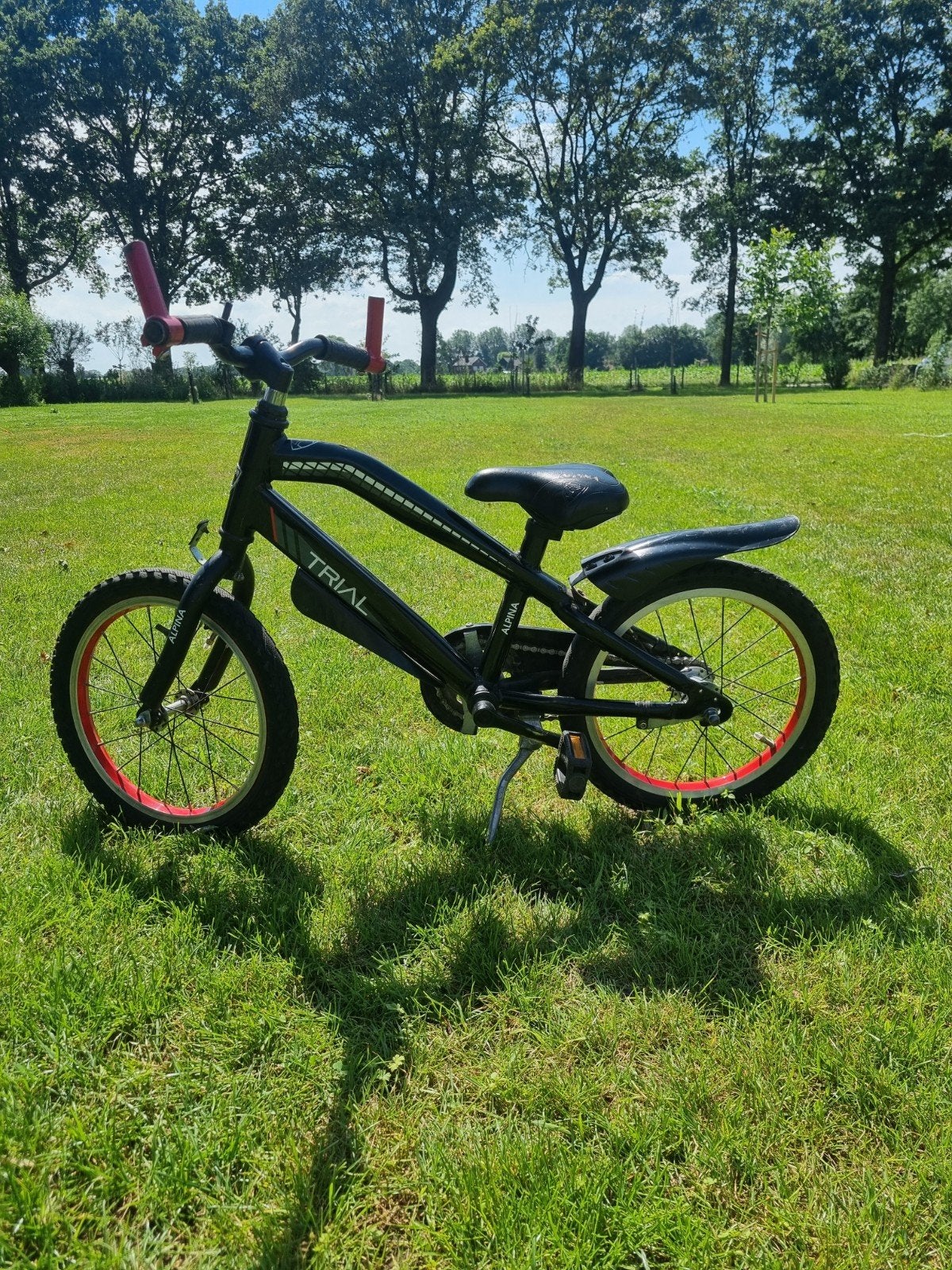 Alpina Trial kinderfiets 16 inh, Terugtraprem, Alpina, Ophalen of Verzenden, 16 tot 20 inch