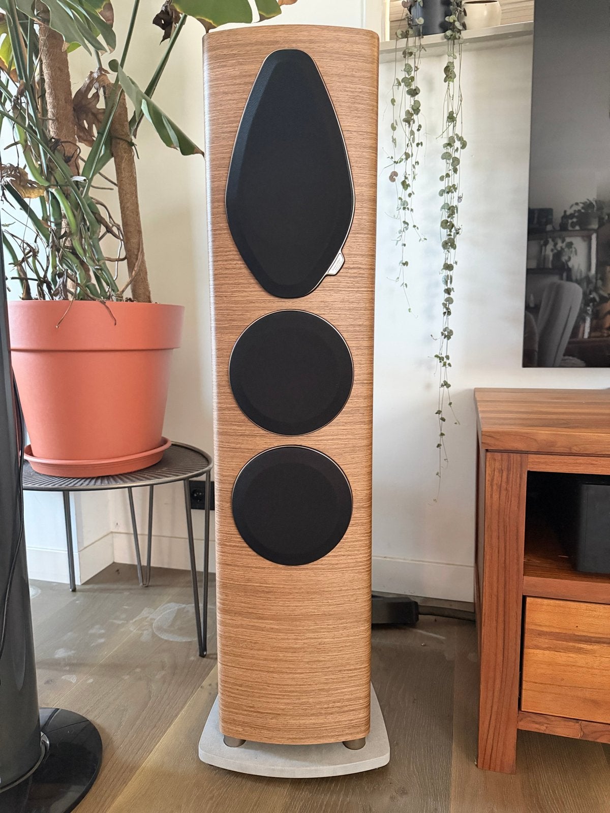 Sonus Faber Sonetto V G2 Vloerstaande Luidsprekers, Vloerstaande luidspreker, Gebruikt, Ophalen, 150 watt of meer