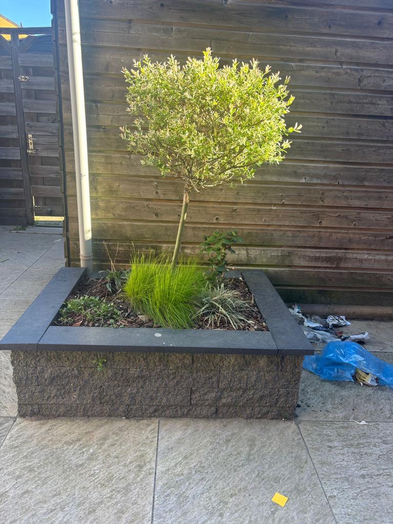 GRATIS! 2 Stenen plantenbakken voor tuin., Tuin en Terras, Bloembakken en Plantenbakken, Gebruikt, 100 cm of meer, Balkon, Vierkant