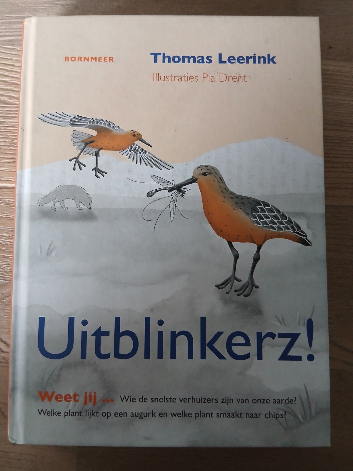 Uitblinkerz! Thomas Leerink, Ophalen of Verzenden, Nieuw, Thomas Leerink