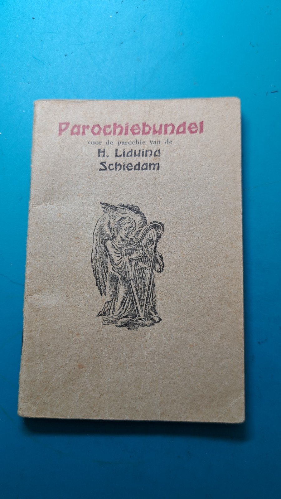 Liduina Schiedam parochiebundel , 104 pagina's, Verzamelen, Verzenden, Gebruikt, Boek, Christendom | Katholiek