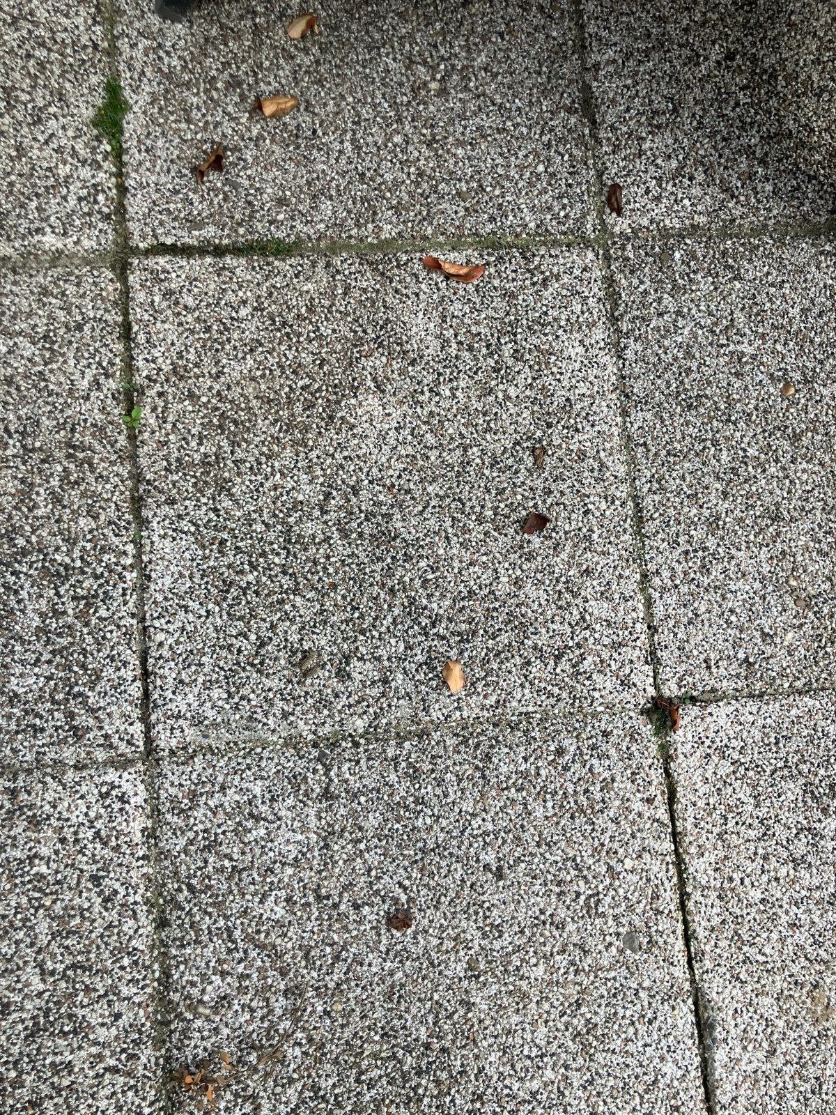 Grindtegels 40 x 40 gratis ophalen (9m2), Ophalen, Gebruikt, 5 tot 10 m², Grind