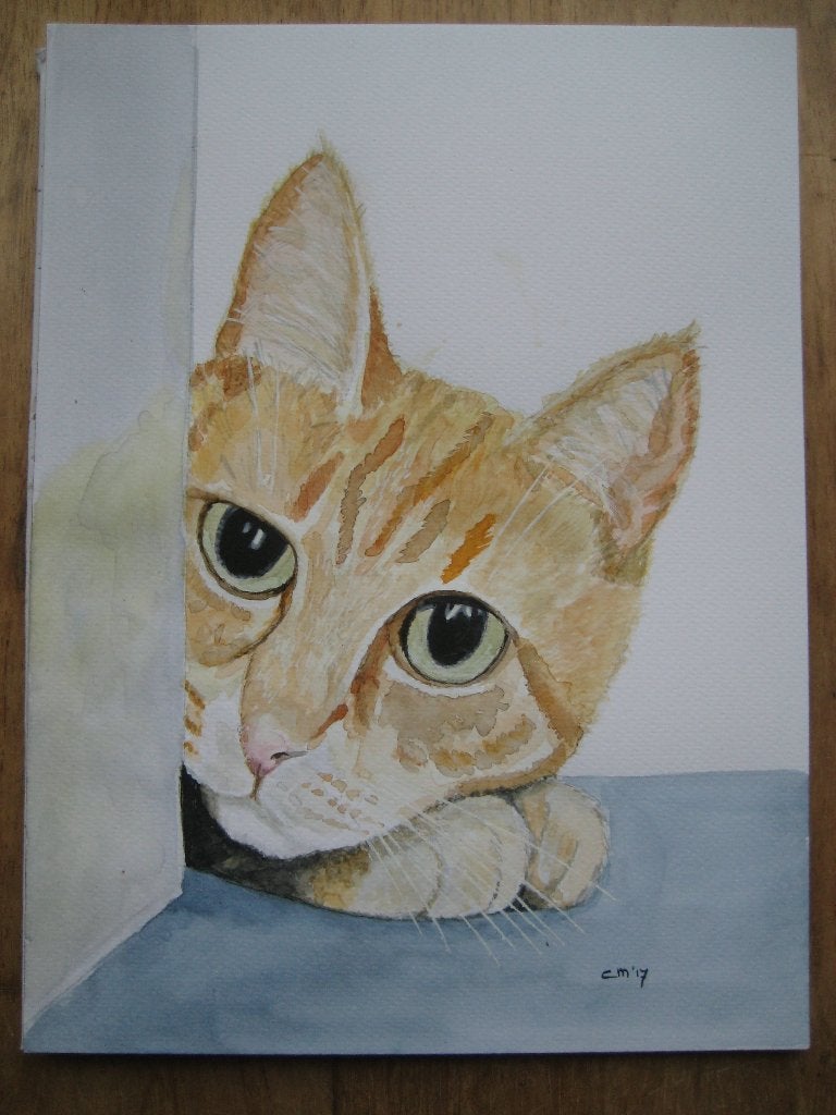 Aquarel Rode Kater   18 x 24 cm, Ophalen, Minder dan 50 cm, Oorspronkelijke maker, Nieuw