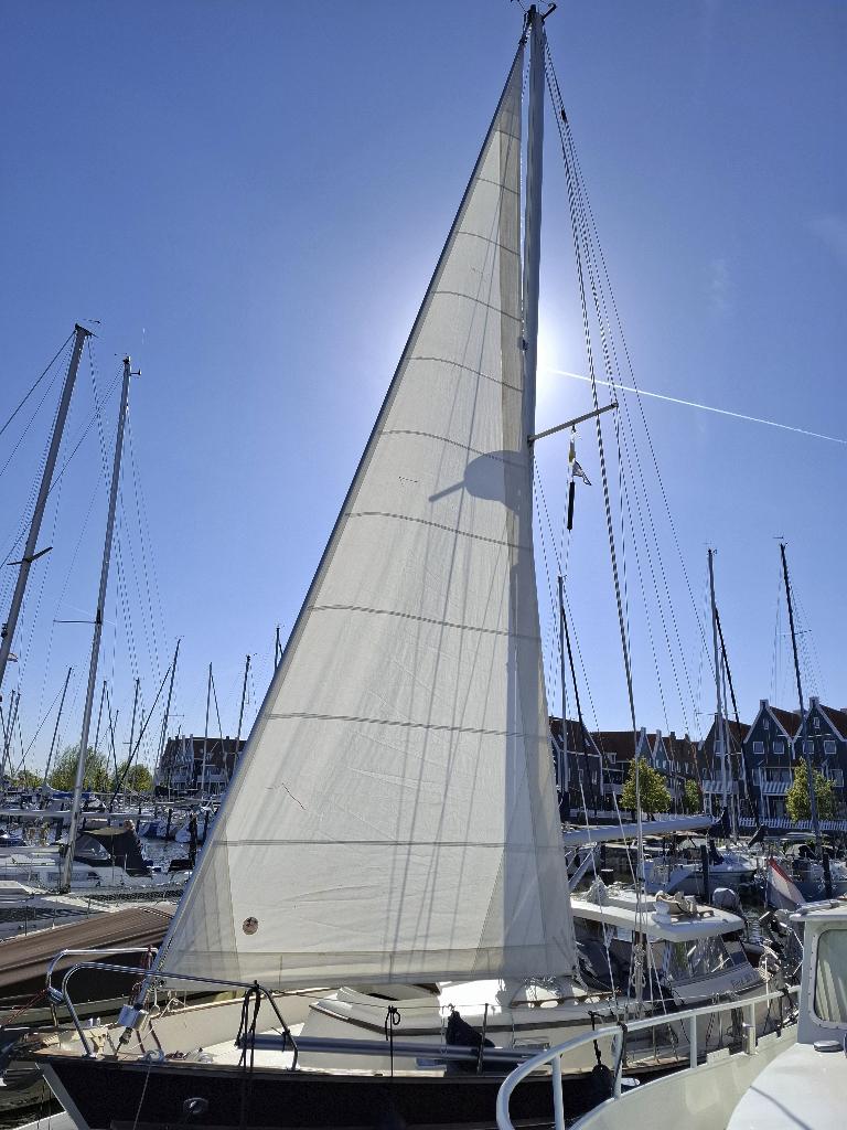 Rolfok High Aspect, 6 meter of meer, Gebruikt, Genua of Fok, Ophalen