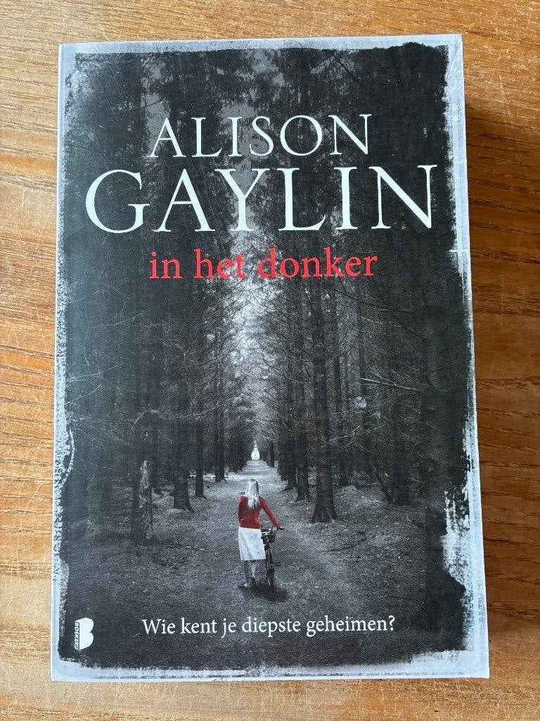 Alison Gaylin - In het donker, Ophalen of Verzenden, Gelezen, Alison Gaylin